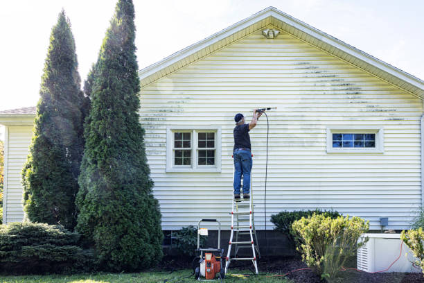 Spring Cleaning in Bothell West, WA